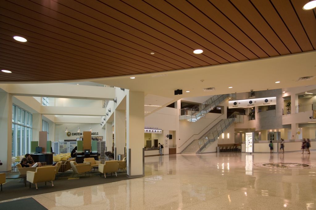 Acoustic Considerations For Metal Ceilings Construction Canada