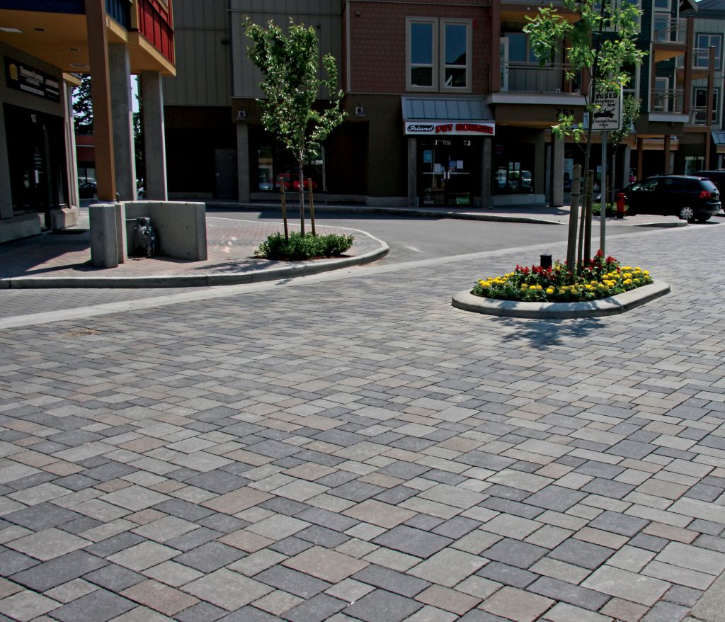Goldstream Avenue - Victoria BC (2)