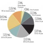 How long have you been in the industry?