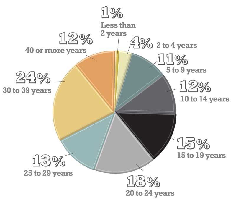 How long have you been in the industry?