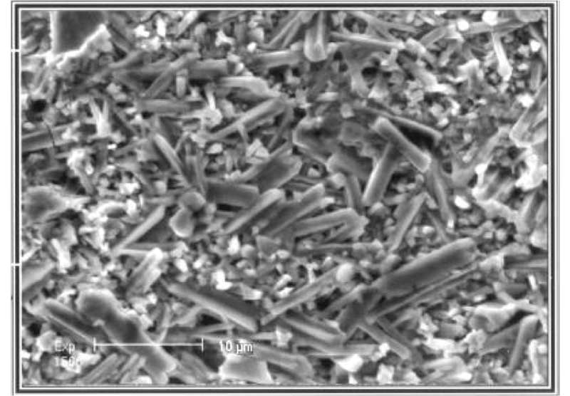 Galvanneal coatings versus galvanize coatings Construction Canada