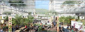 Glass-roofed Montréal garden highlight of downtown biergarten Glass-roofed Montréal garden highlight of downtown biergarten