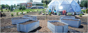 Revealing the greenest schools in Canada Revealing the greenest schools in Canada