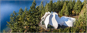 Celebrating the best wood projects Celebrating the best wood projects