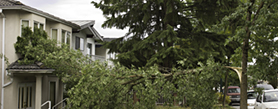 New national standard on wind resilience proposed