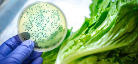 Researchers develop treatment to prevent bacterial spread on metal surfaces  