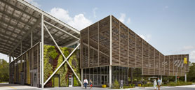 McDonald’s reveals net-zero energy restaurant at Walt Disney resort