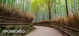 Discover a refreshed palette of interior product solutions from Construction Specialties 