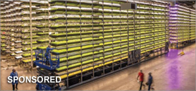 Elevate your indoor cultivation facility with insulated metal panels