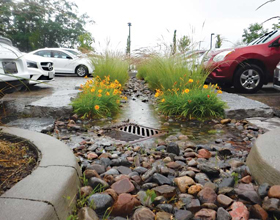 Managing stormwater with bioretention low impact development systems?