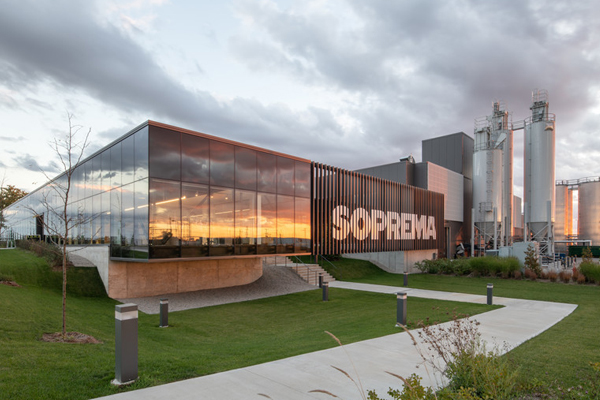 Toronto’s ‘Forêt’ aims to connect St. Clair’s built environment