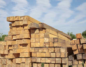 Ontario maintains stance against ‘unfair’ duties on Canadian softwood exports  