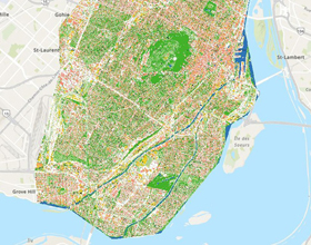 Study ranks Montreal fourth among sponge-like cities 