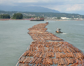 B.C.’s lumber industry tense over Biden’s Buy American plan 