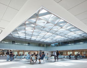  UofT’s scientific reserve buildings to marry sustainability with high design