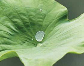 Protecting buildings with hydrophobic coatings