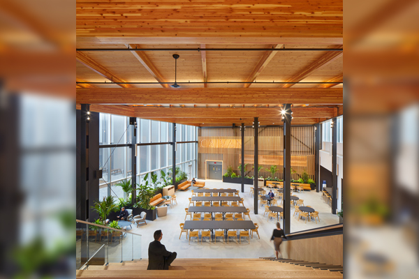 Homebuilder’s new HQ maximizes wood use for low environmental impact