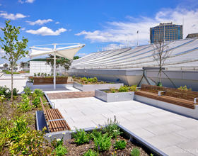 How green roofs combat urban flooding 