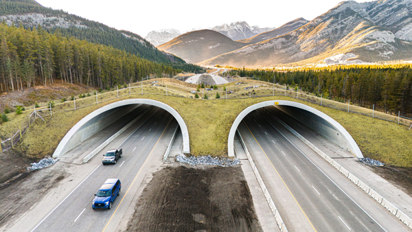 Wildlife overpass crosses new territory