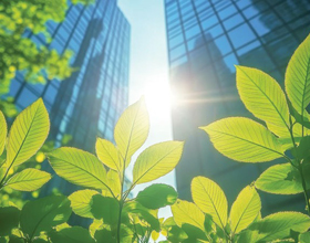 New guidelines bring clarity to sustainable fenestration 
