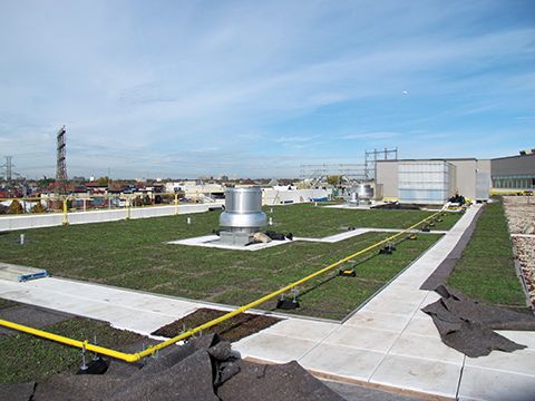 Sherway upon installation Nov 2014 IMG_7288