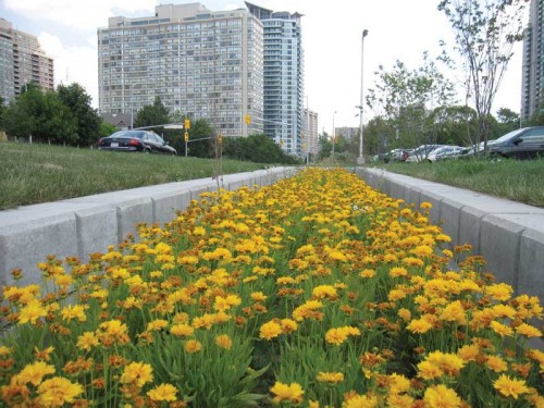 Photos courtesy Credit Valley Conservation