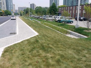 The green street project at Elm Drive in Mississauga, Ont., has low-impact development (LID) practices that clean water naturally. This project consists of bioretention planters and permeable pavement that work together to slow, filter, and clean stormwater on its way back to Cooksville Creek and Lake Ontario.