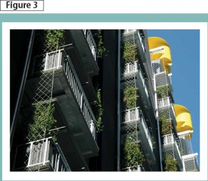 Plant screens were used along the balconies on the north side of Council House No. 2 (CH2) and over the roof deck for shelter from the sun. Photo courtesy Ronstan Tensile Architecture