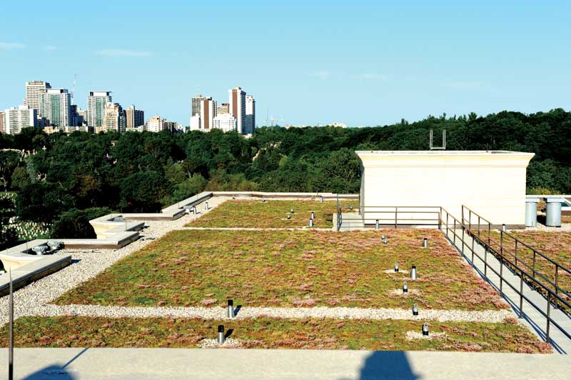 Vegetated Roof Apartment Building Cost photo