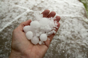 Hailstones are usually irregular in shape and can vary considerably in size and weight. Even the ones defined as “pea-sized” can potentially cause serious damage.