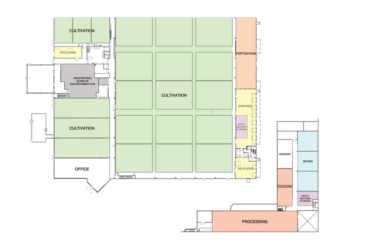 Building Successful Indoor Cannabis Cultivation Facilities