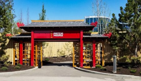 The Panda Passage at the Calgary Zoo in Alberta has received a Petal Certification for its cutting-edge habitat design. Photo courtesy CNW Group/Calgary Zoo