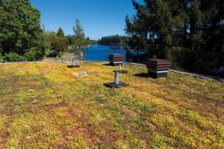 Image courtesy Next Level Stormwater Management