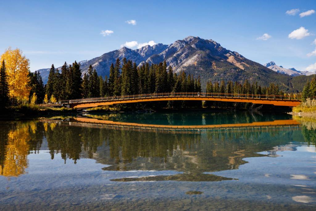 Design of a Stress Ribbon Glulam Footbridge Across a Steep Forest