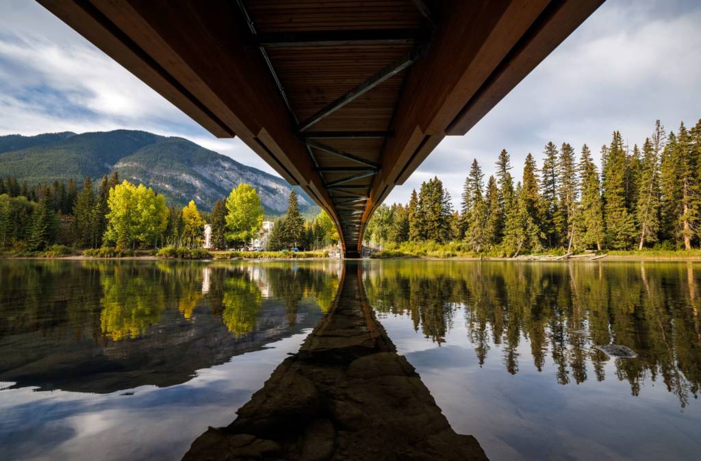 Design of a Stress Ribbon Glulam Footbridge Across a Steep Forest