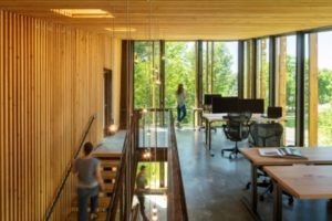 DLT is the ideal product to use for sustainable and biophilic design.