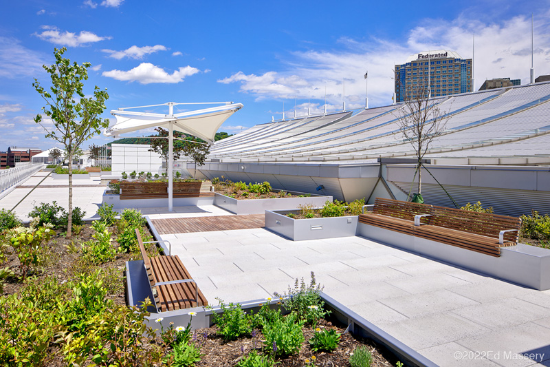 Elevated rooftop terrace with wood benches, planters, and a white shade canopy, overlooking a curved building roof and city skyline.