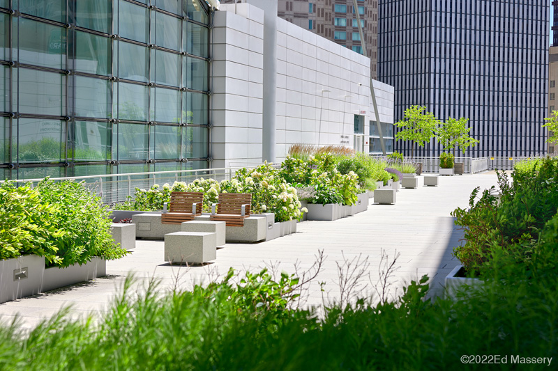 Rooftop garden with lush planters, wood-and-concrete benches, and a modern glass building facade, set against a backdrop of city towers.