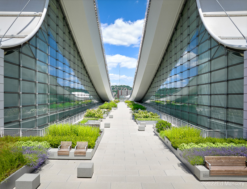 Landscaped rooftop garden walkway flanked by two curved glass facades, featuring benches, planters, and city views in the distance.