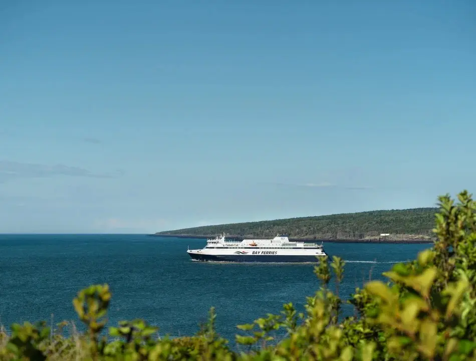 Ferry with "Bay Ferries" logo sails across calm blue ocean under clear sky, near a green coastline. Foreground has blurred greenery. Peaceful scene.