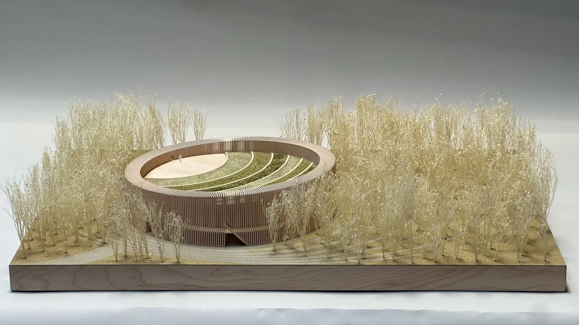 Architectural model of a circular wooden structure with terraced greenery, surrounded by delicate white foliage on a smooth base.