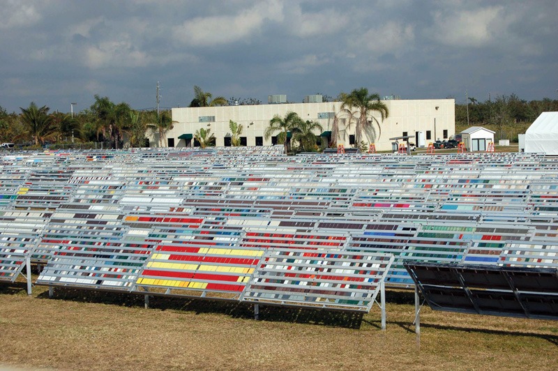 A large outdoor area filled with colorful benches arranged in rows, with a building and palm trees in the background.